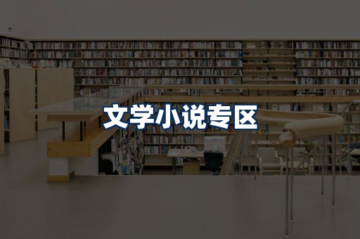 文学小说PDF展示